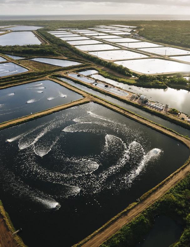 Aerial view of inland aquaculture ponds set in a coastal Australian landscape