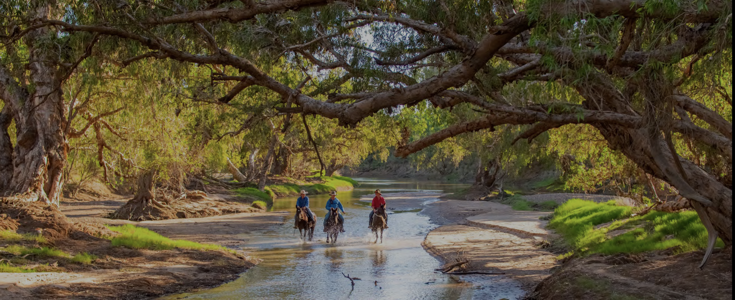 Three riders on horseback crossing a river beneath an arching river red gum canopy